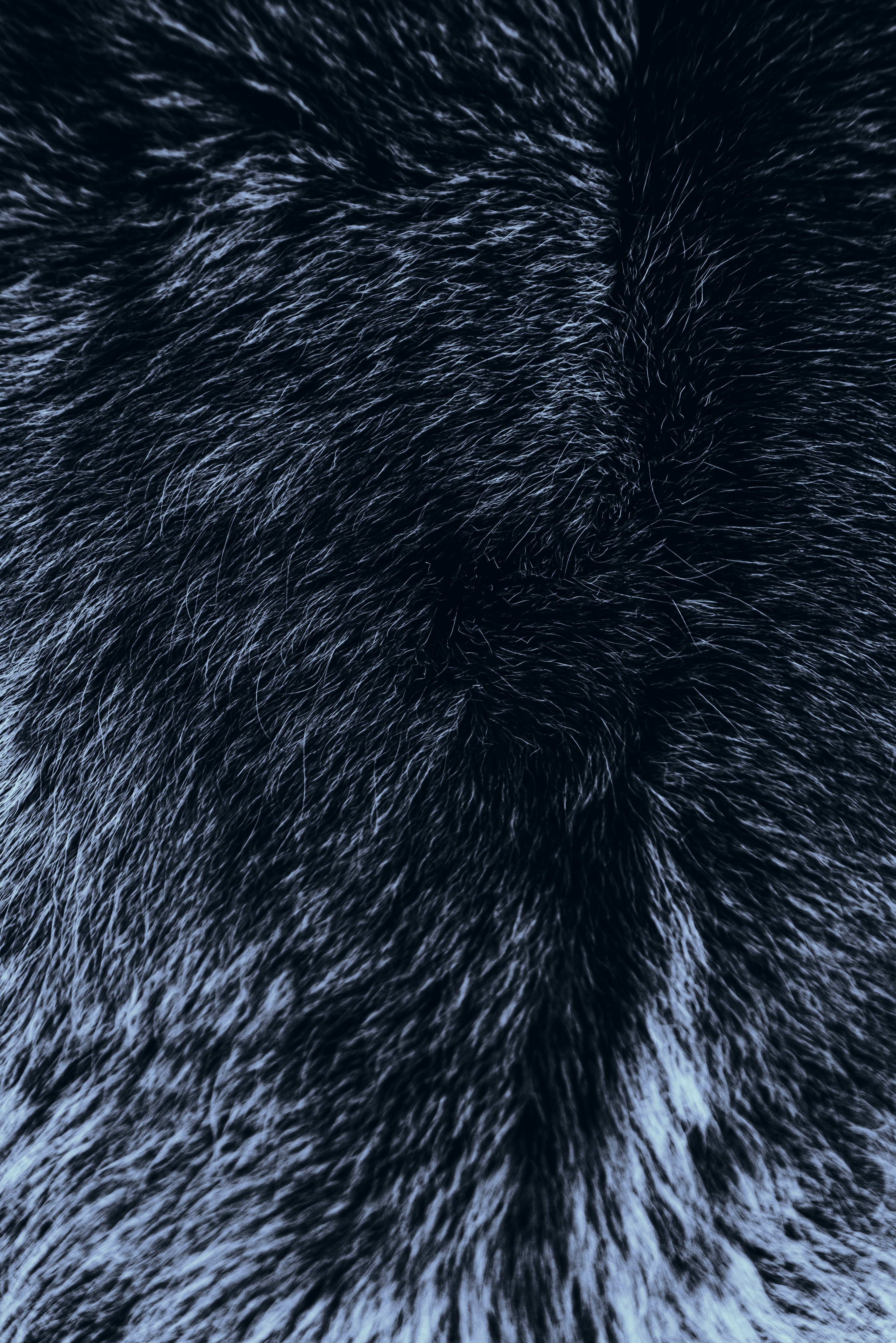 Lovo Background